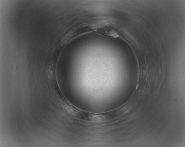 X0000073450277200607281229