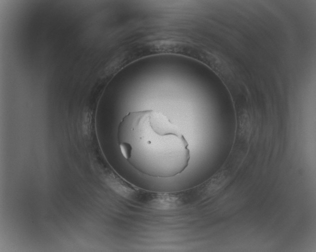 X0000073450278200607281229