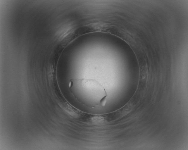 X0000073450279200607281229