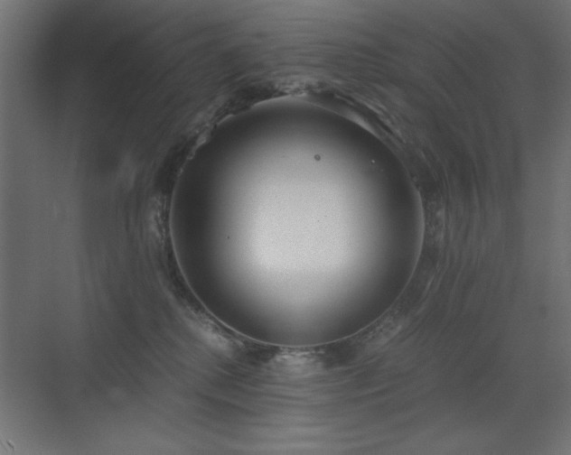 X0000073450280200607281229