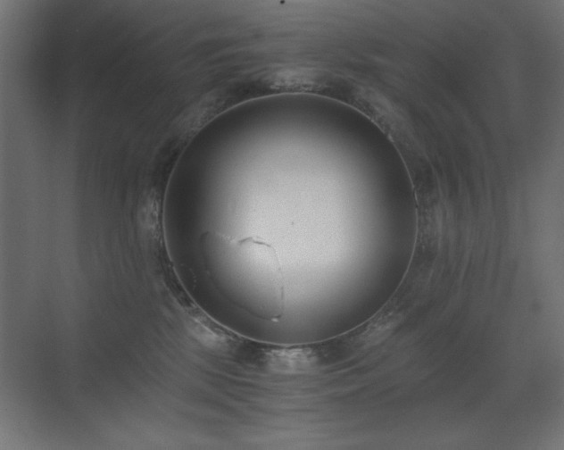 X0000073450281200607281229