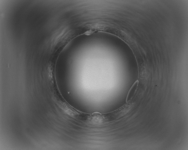 X0000073450282200607281229