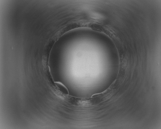 X0000073450283200607281229