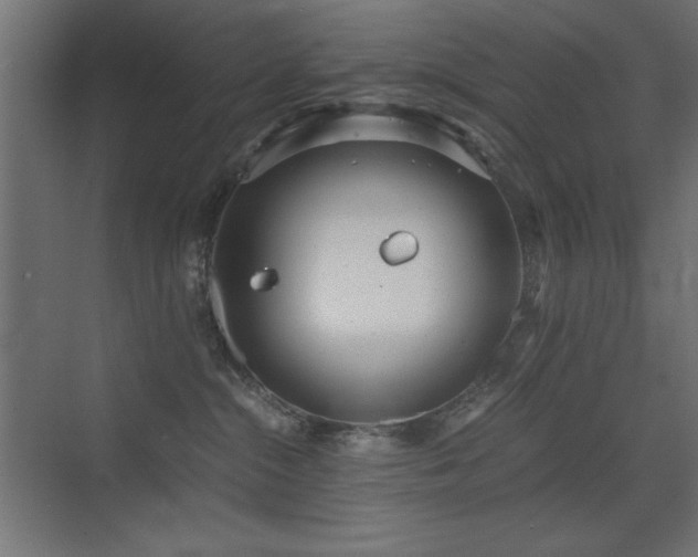 X0000073450284200607281229