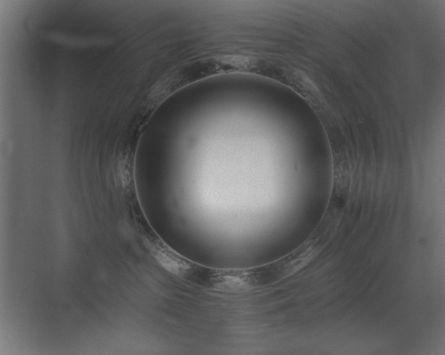 X0000073450285200607281229