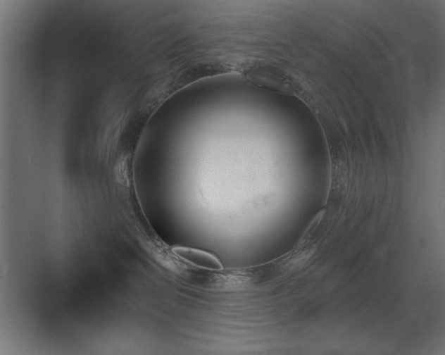 X0000073450286200607281229