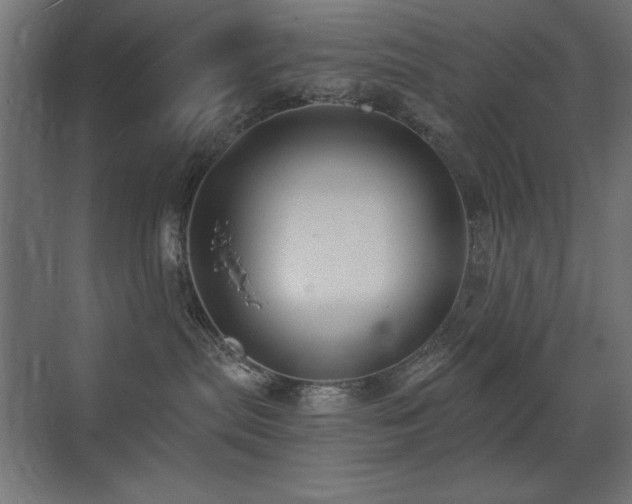 X0000073450287200607281229