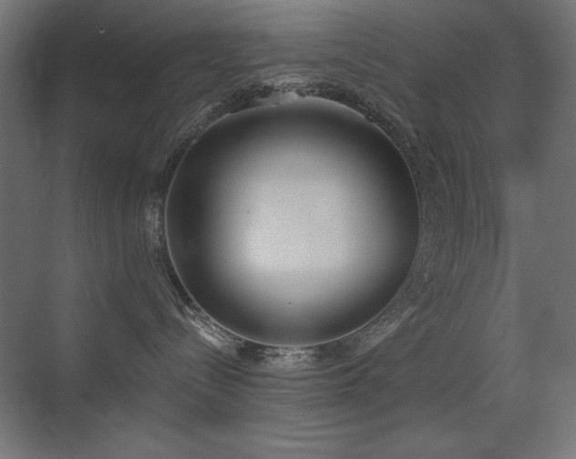 X0000073450288200607281229