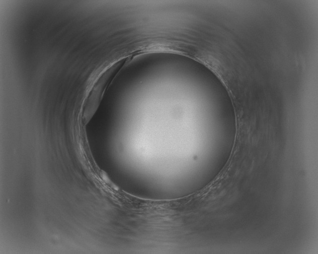 X0000073450289200607281228