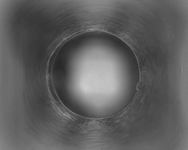 X0000073450290200607281228