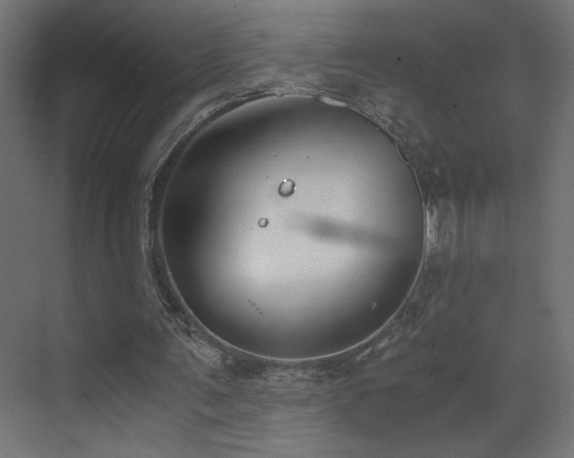 X0000073450291200607281228