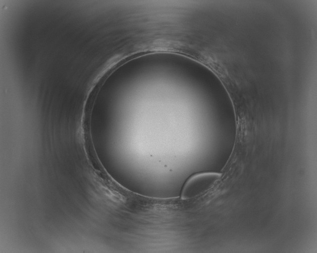 X0000073450292200607281228