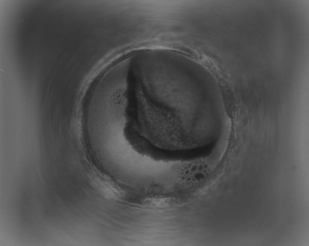 X0000073450295200607281228