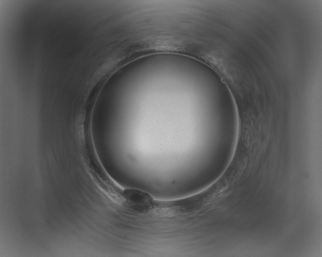 X0000073450299200607281228