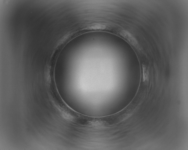 X0000073450300200607281228