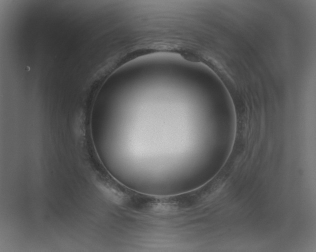 X0000073450303200607281228