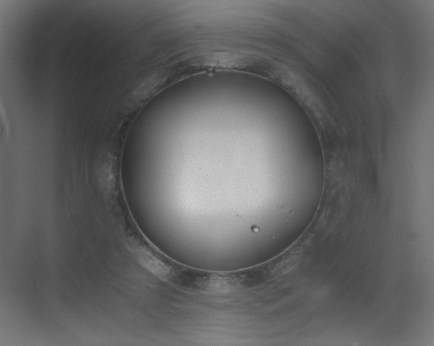 X0000073450305200607281228