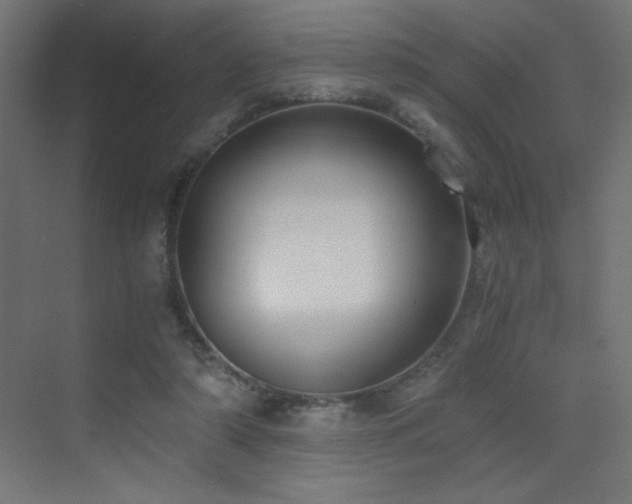 X0000073450306200607281228