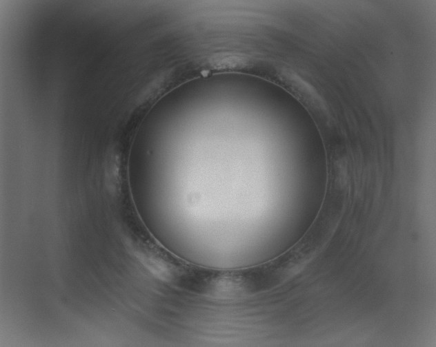 X0000073450308200607281228