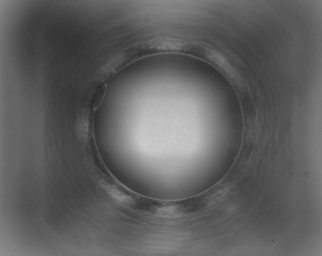 X0000073450309200607281228