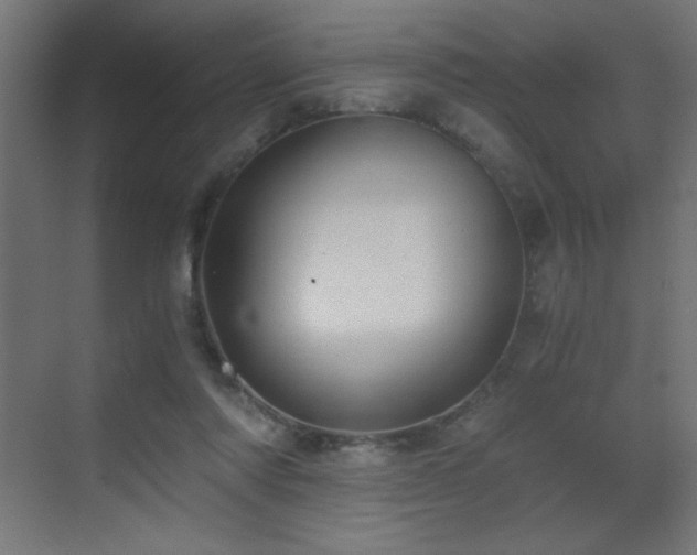 X0000073450310200607281228