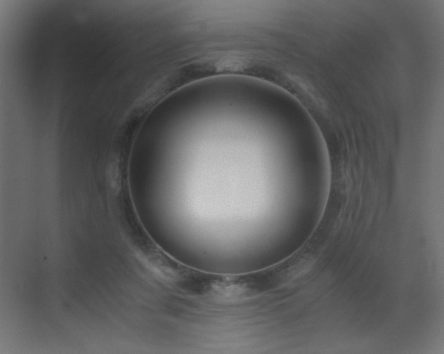 X0000073450311200607281228