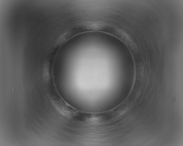 X0000073450312200607281228