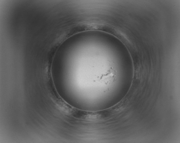 X0000073450314200607281228