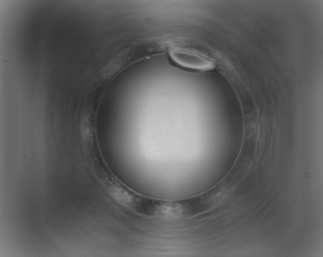 X0000073450317200607281228