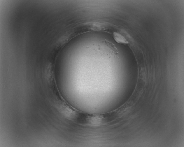 X0000073450318200607281228