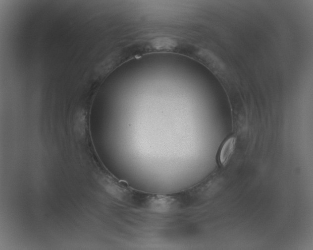 X0000073450321200607281228