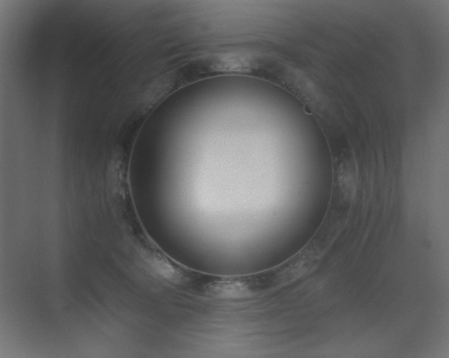 X0000073450322200607281228