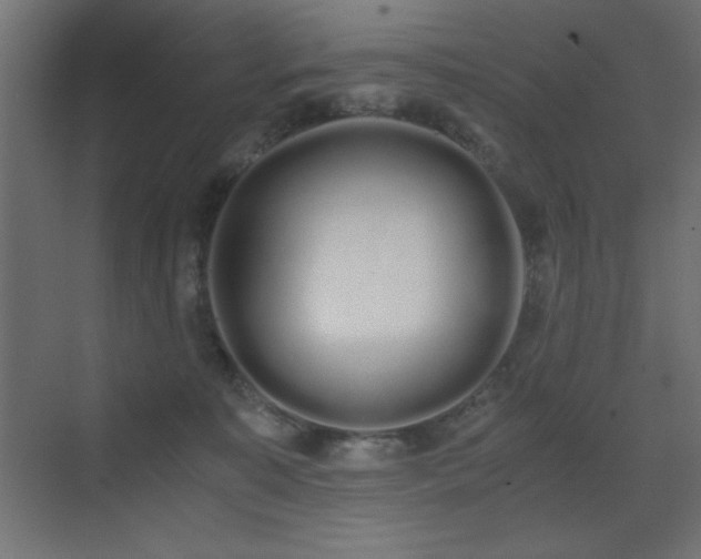 X0000073450323200607281227