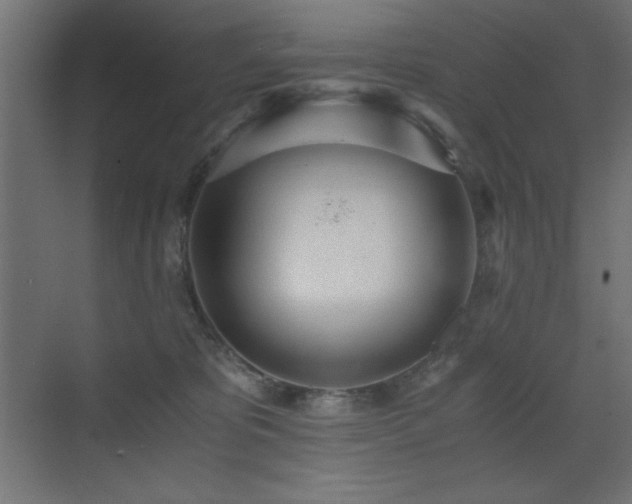 X0000073450325200607281227