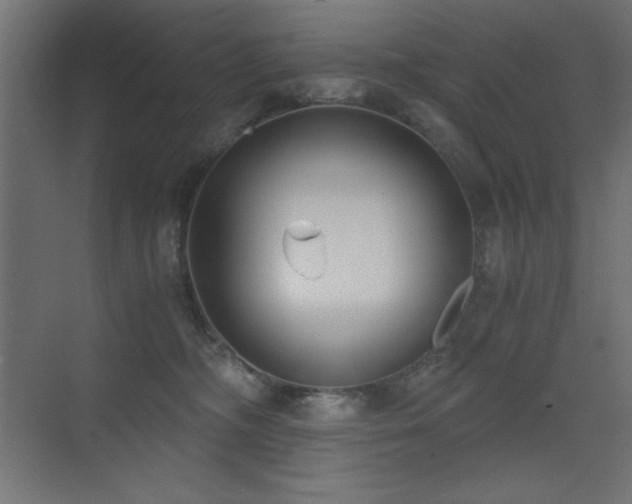 X0000073450326200607281227