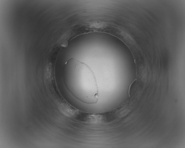 X0000073450328200607281227