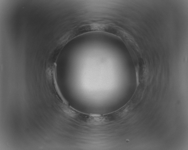 X0000073450329200607281227