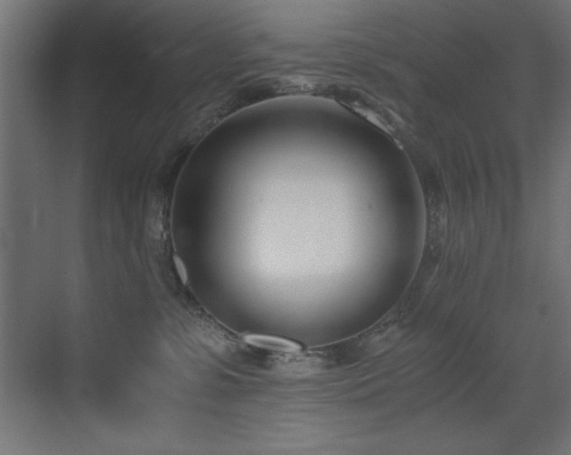 X0000073450331200607281227