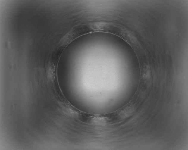 X0000073450332200607281227