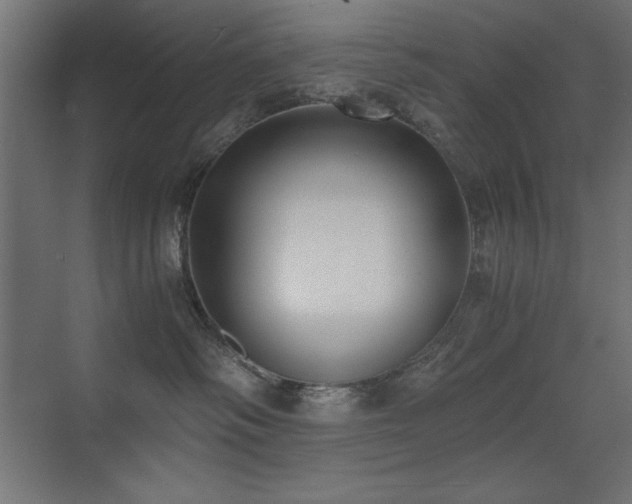 X0000073450334200607281227