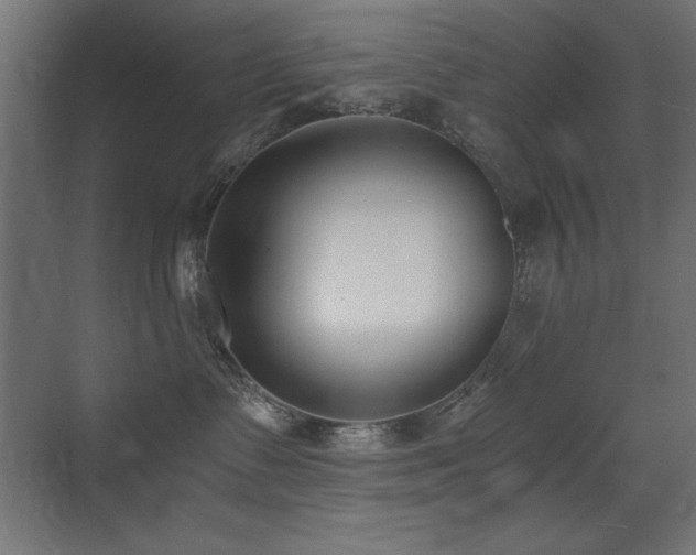 X0000073450335200607281227