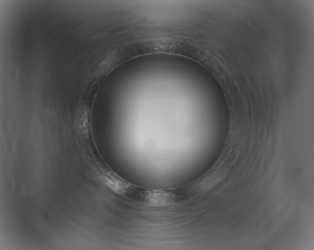 X0000073450336200607281227