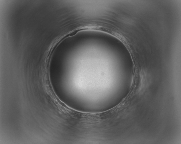 X0000073450337200607281226