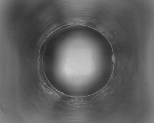 X0000073450338200607281226