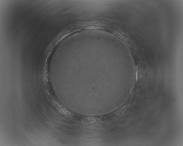 X0000073450339200607281226