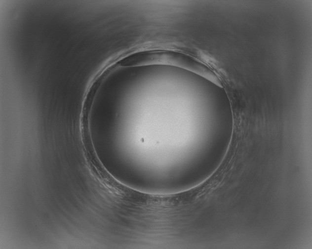 X0000073450340200607281227