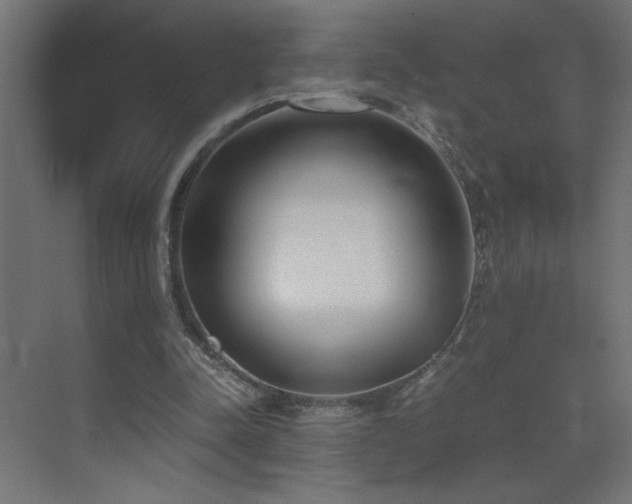 X0000073450342200607281227