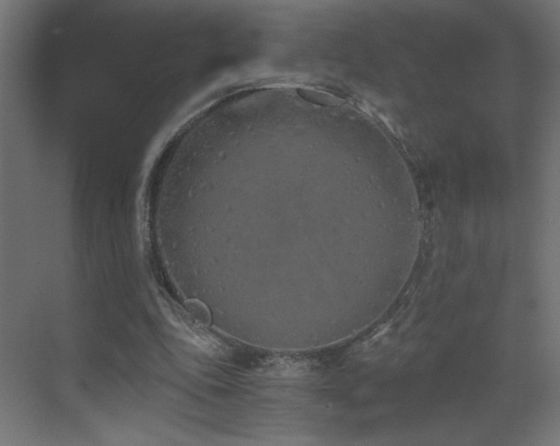 X0000073450343200607281227