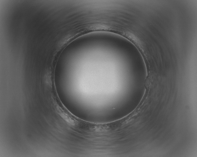 X0000073450345200607281227