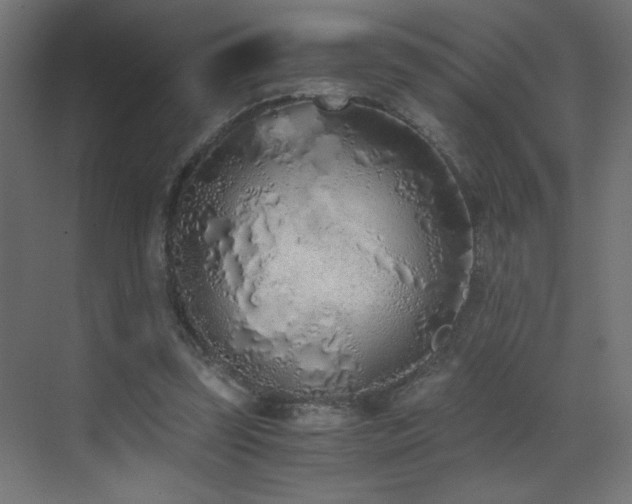 X0000073450347200607281227